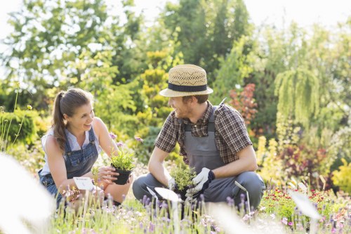 Gardening tools and plants in a Mortlake nursery